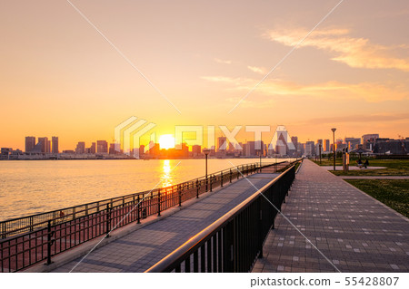 Scenery of the Toyosu-gururu Park (the evening view) 55428807