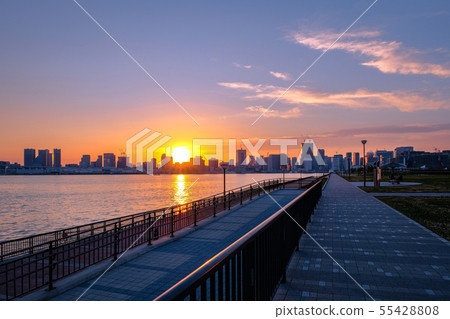 Scenery of the Toyosu-gururu Park (the evening view) Scenery of the Toyosu-gururu Park (the evening view) 55428808