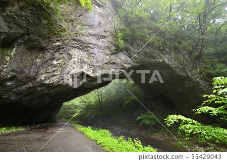 Taishakukyo Ohashi(廣島縣K原市) Taishakukyo Ohashi(廣島縣K原市) 55429043