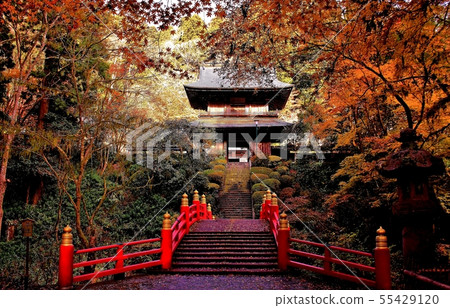 那須高原最強力量點! KumoImutera 那須高原最強力量點! KumoImutera 55429120