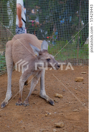 Shaboten Park 4 Shaboten Park 4 55429443