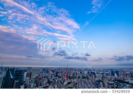 Summer evening Tokyo Tower Tokyo Bay, Tokyo Bay 2010.07 c-1 Super wide angle 55429939