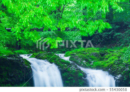 Fresh green Kaneyama waterfall Yamanashi Prefecture 55430058