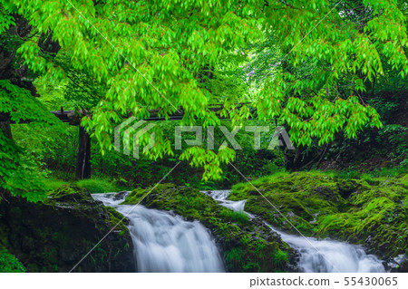 新鮮的綠色Kaneyama瀑布山梨縣 55430065