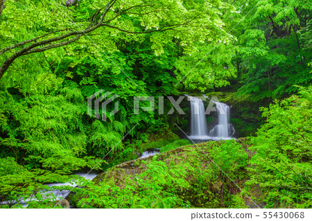 Fresh green Kaneyama waterfall Yamanashi Prefecture 55430068