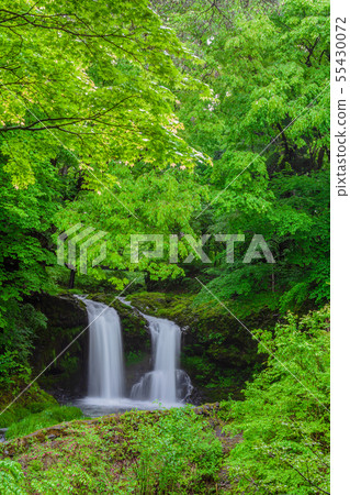 Fresh green Kaneyama waterfall Yamanashi Prefecture 55430072