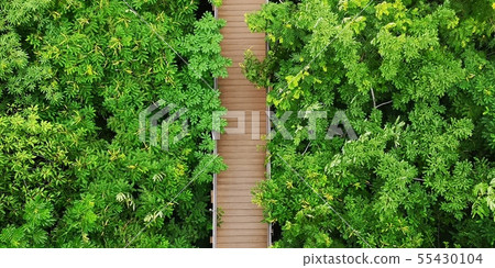 Aerial view of Simulated forest ,Bangkok,Thailand 55430104