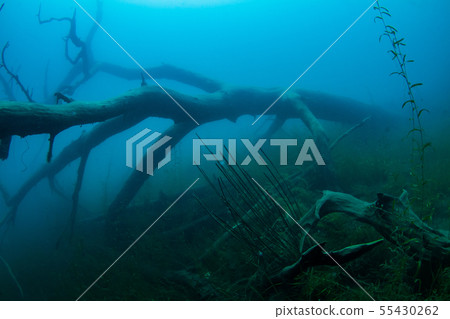 Lake Motosu 55430262