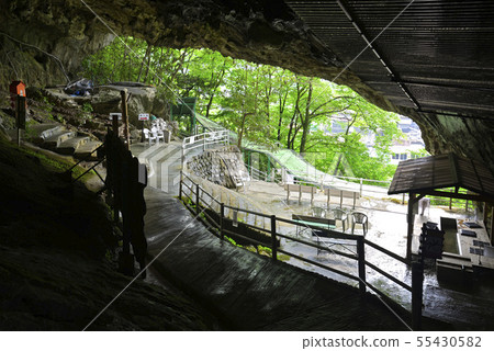 靠近Ikura-dori出口(岡山縣新見市) 靠近Ikura-dori出口(岡山縣新見市) 55430582
