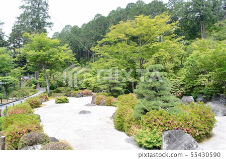 Mimuroto寺 Mimuroto寺 55430590