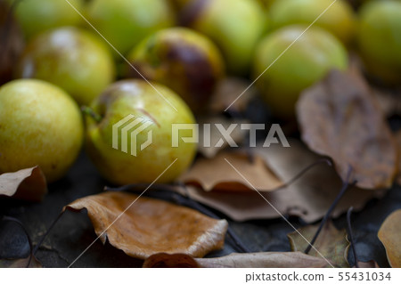Dates, winter dates, daily pay, winter schedule, Dates, winter dates Dates, winter dates, daily pay, winter schedule, Dates, winter dates 55431034