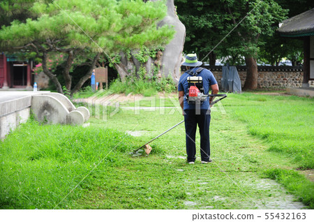 Man working in the herb 55432163