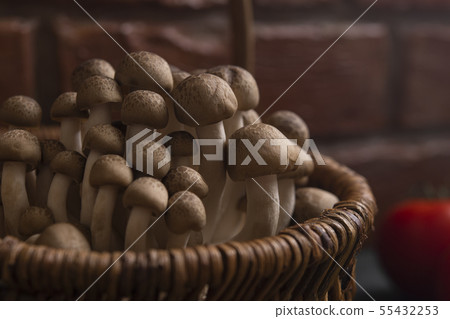 Bunashimeji in the basket Bunashimeji in the basket 55432253