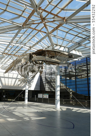 Osaka City Museum of Natural History Nagai Osaka City Museum of Natural History Nagai 55432292