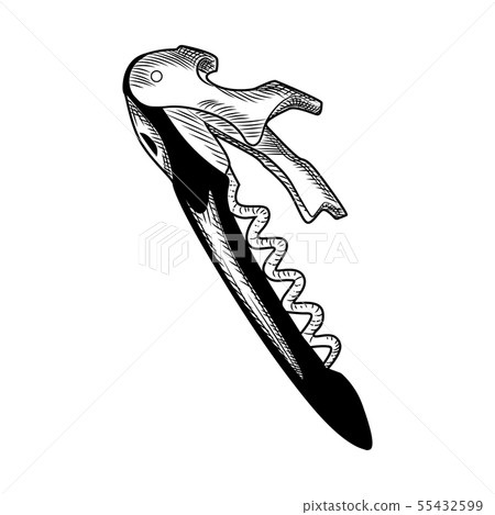 Hand drawn Corkscrew. Engraving style. Sommelier 55432599