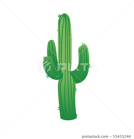Green columnar Saguaro cactus with three branches or cacti arms cartoon style Green columnar Saguaro cactus with three branches or cacti arms cartoon style 55433246