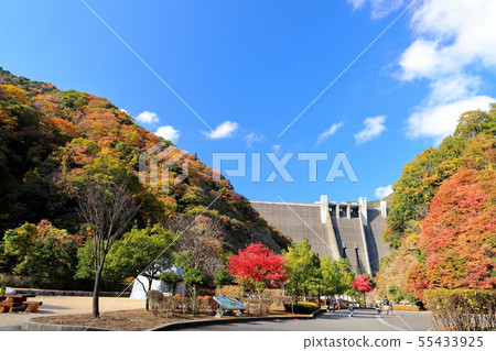 Miyagase Dam of autumn leaves 55433925