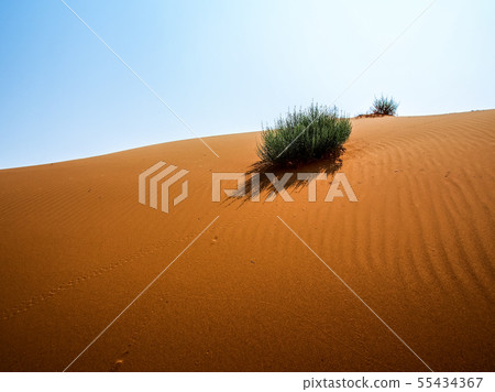 新疆維吾爾自治區Zuishan Qumtag沙漠Kumtag沙漠,新疆,中國 新疆維吾爾自治區Zuishan Qumtag沙漠Kumtag沙漠,新疆,中國 55434367