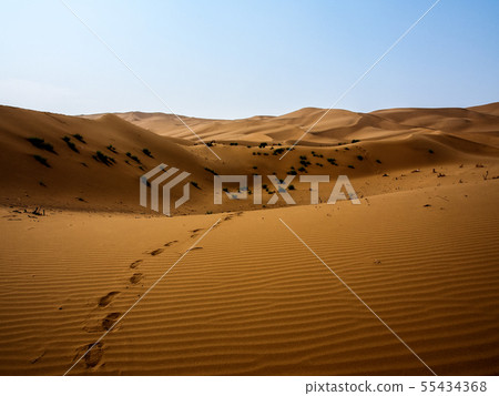 新疆維吾爾自治區Zuishan Qumtag沙漠Kumtag沙漠，新疆，中國 55434368