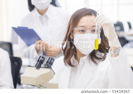 Business Woman, Researcher, Lab, Science, Experiment, Test Tube 55434567