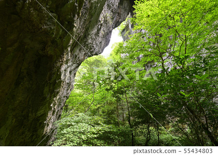 Rajomon First gate（岡山縣Niomi-shi） 55434803