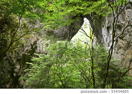 Rajomon First gate（岡山縣Niomi-shi） 55434805