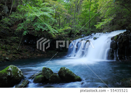 Tateshina Otaki在夏天 Tateshina Otaki在夏天 55435521