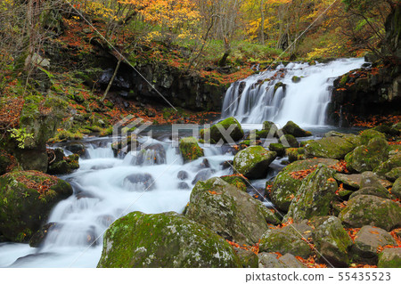 Fall Tateshina Otaki 55435523