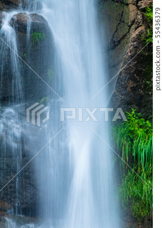 Fresh green cliff and waterfall like flow Fresh green cliff and waterfall like flow 55436379
