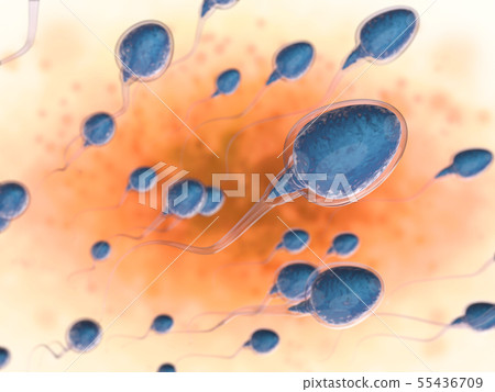 group of sperms 55436709
