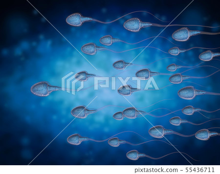 group of sperms 55436711