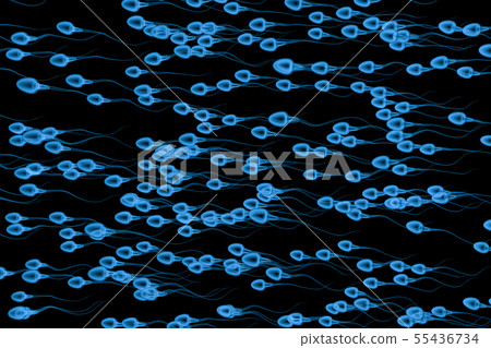 x ray group of sperms 55436734