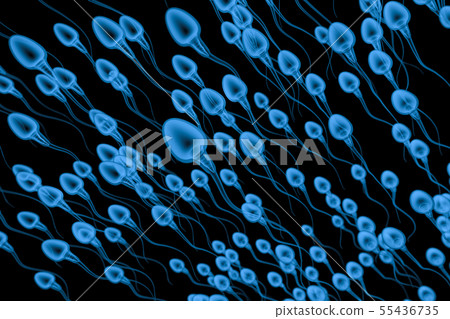 x ray group of sperms 55436735