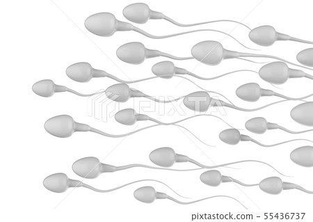 group of sperms 55436737