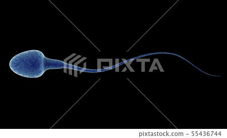 blue sperm isolated on black 55436744