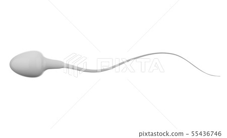 white sperm isolated on white white sperm isolated on white 55436746