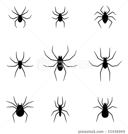 Set of black silhouettes of spiders on white Set of black silhouettes of spiders on white 55436949