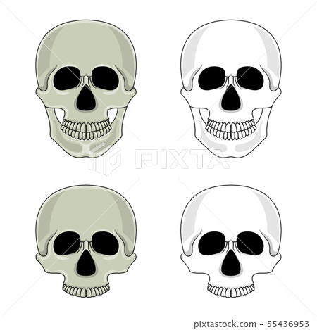 Set of skulls isolated on white background. Set of skulls isolated on white background. 55436953