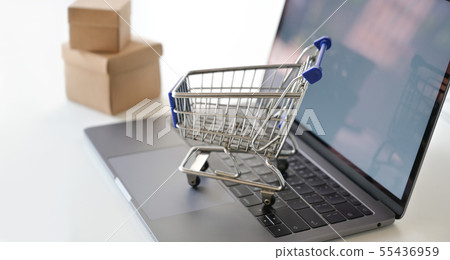 Shopping online concept Shopping online concept 55436959