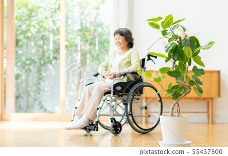 高級女子（輪椅） 55437800