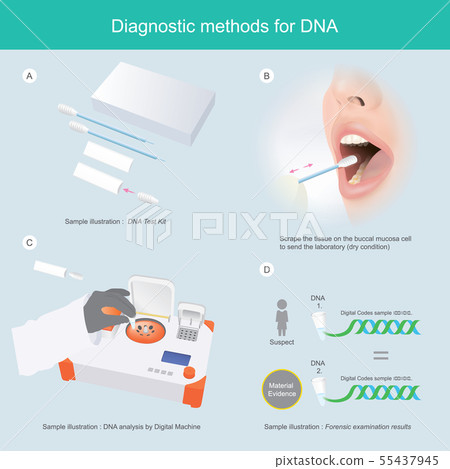 Diagnostic methods for DNA 55437945
