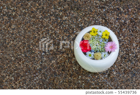 Flower arrangement floated in a white bowl 55439736