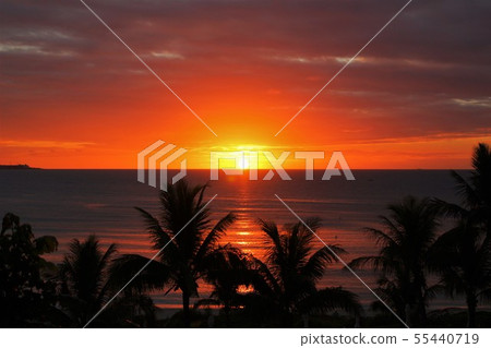 美麗的夕陽 美麗的夕陽 55440719