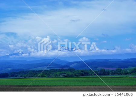 富良野的Yubari山脈 55441066