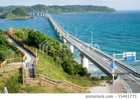 天文台和大橋 55441775