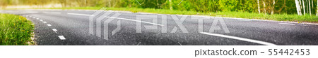 Road panorama on sunny spring day Road panorama on sunny spring day 55442453