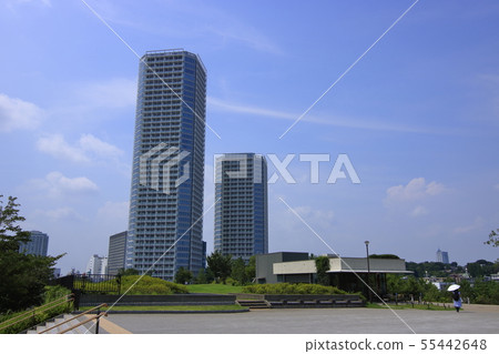 Futako Tamagawa Park scenery 55442648