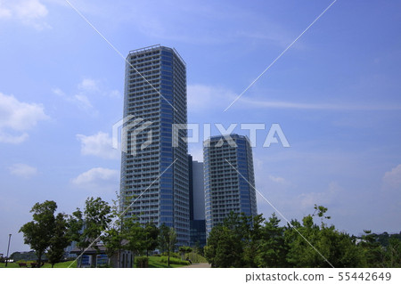 二子玉川公園風景 二子玉川公園風景 55442649