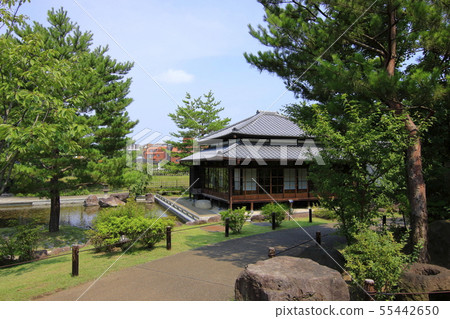 二子玉川公園前清水住宅風景 二子玉川公園前清水住宅風景 55442650