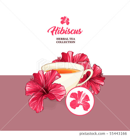 Tea Card with Hawaiian Hibiscus Red Fragrance Flower. Backdrop for Tea Packaging Print Design. 55443166